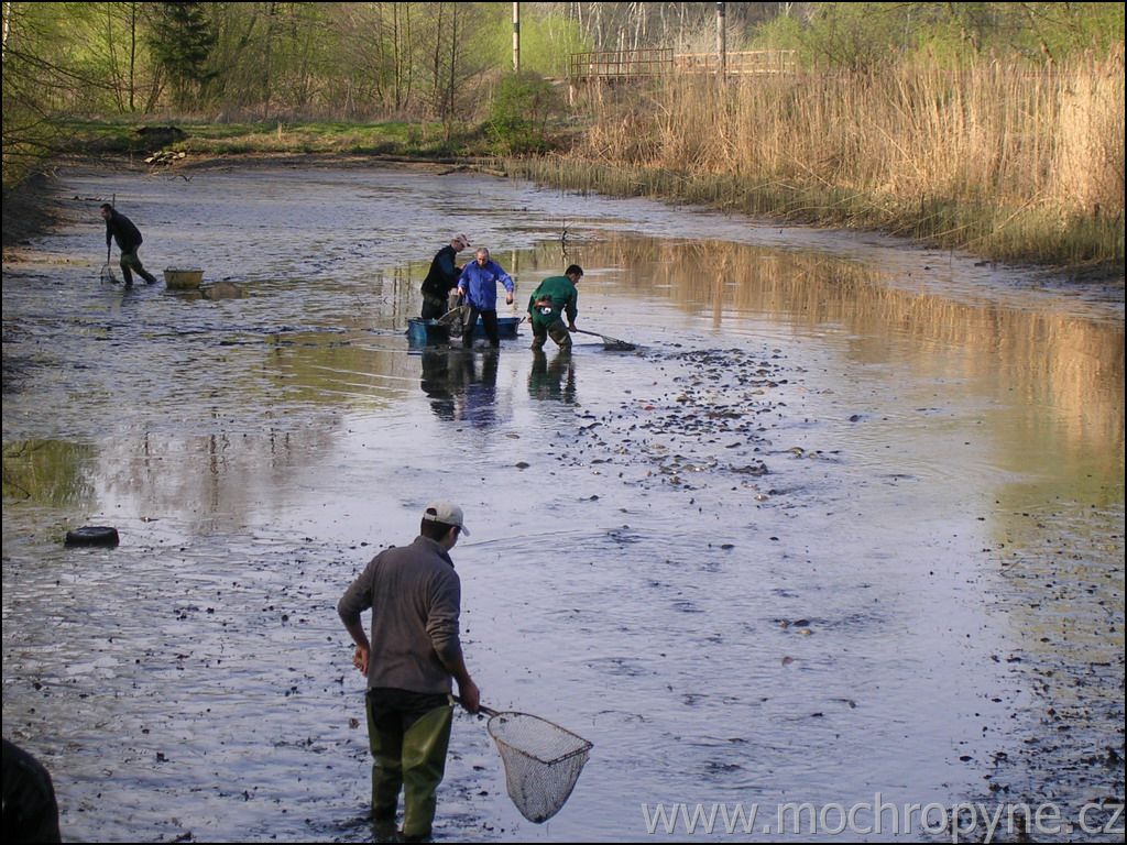 karhanek2005 01