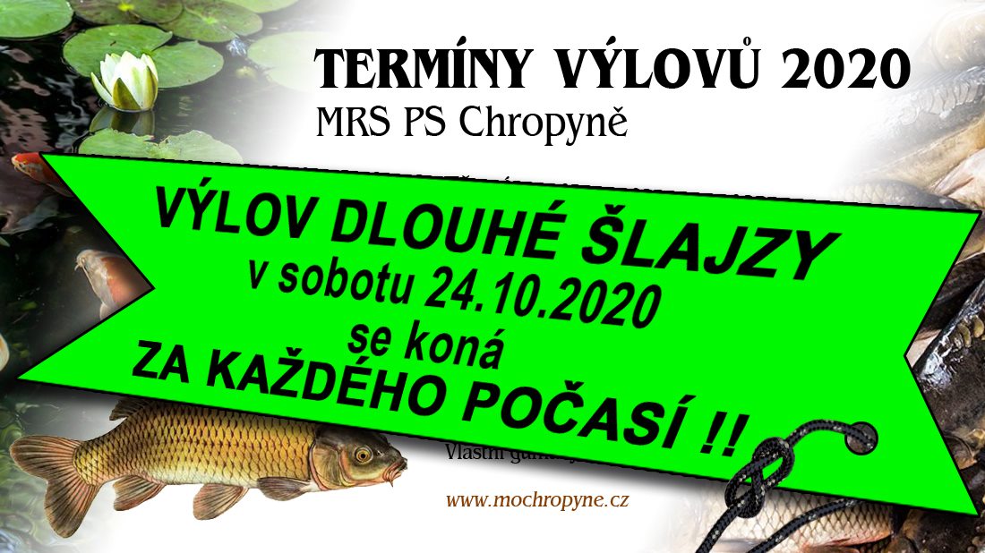 vylov dlouha posun 2020 2